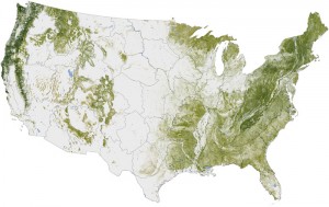 USFS and USGS Create Tree Inventory For U.S.