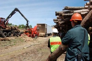 Financing, Five Year Biomass Contracts Offered Loggers In Upstate New York