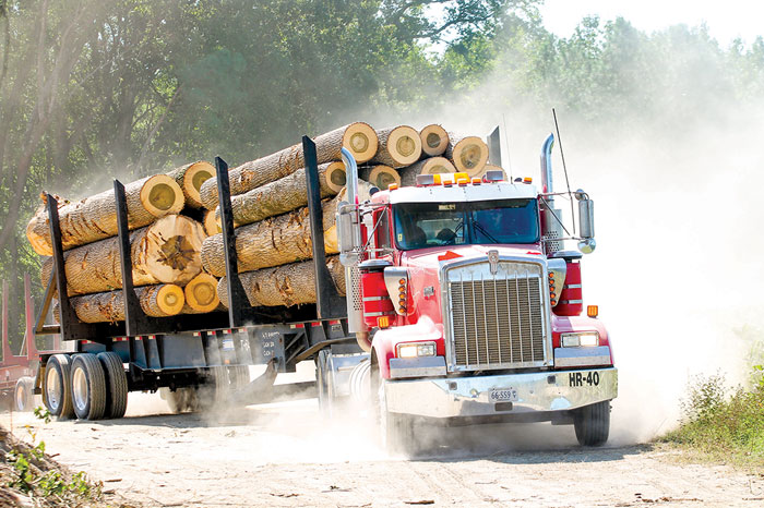 Log Truck Safety