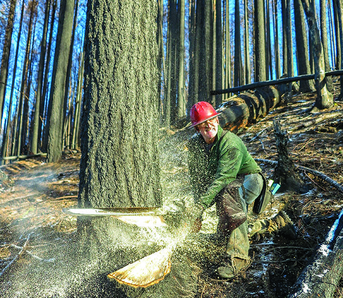 Oregon Loggers Cause Tiny Fraction Of Fires