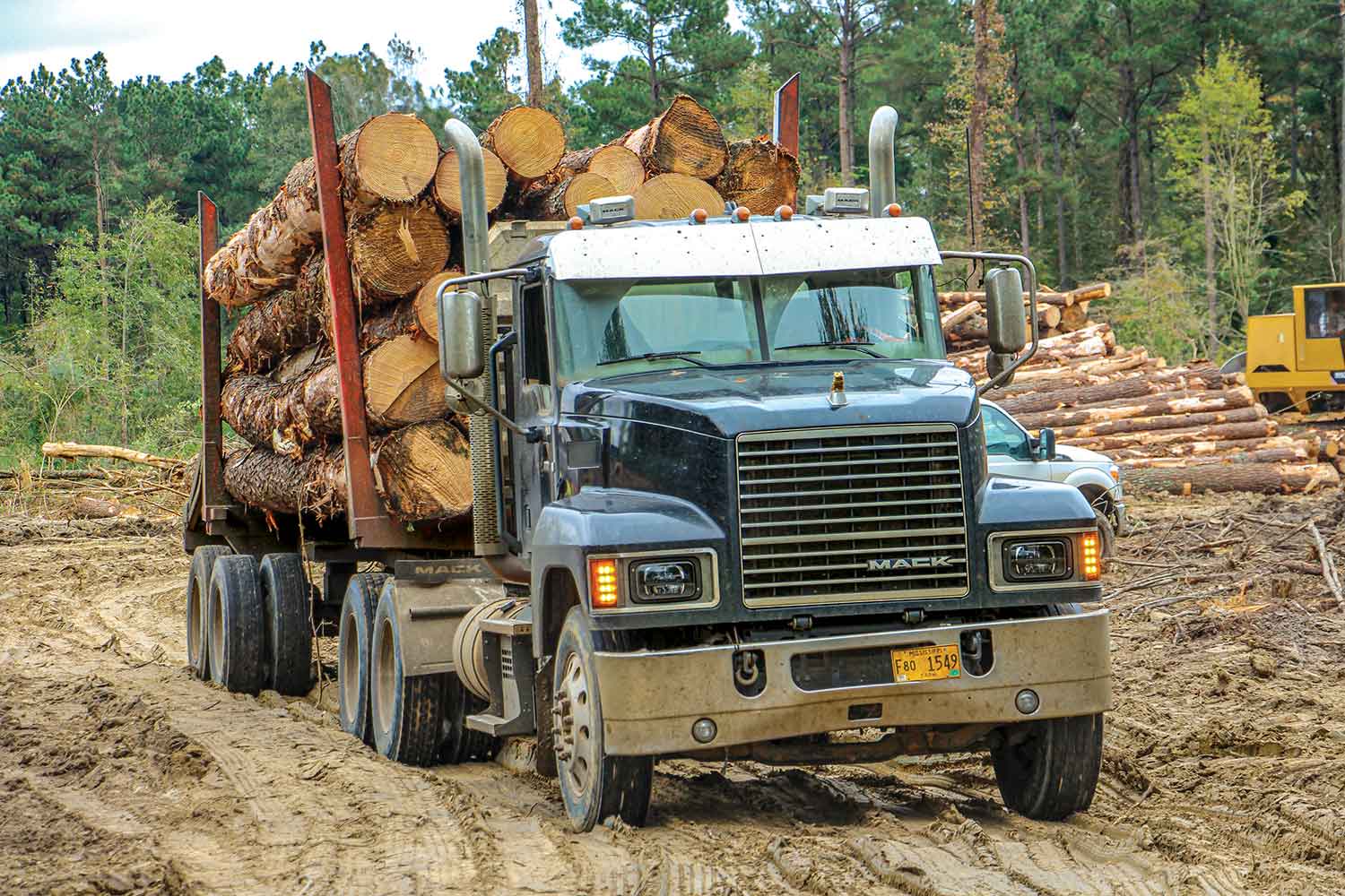 Forest Service Reveals Immediate Forest Plans Timber Harvesting   Harrison 01 9446 