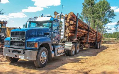 Trucking Tax Credit Bill Reintroduced