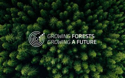 Mercer Launches ‘Growing Forests – Growing A Future’