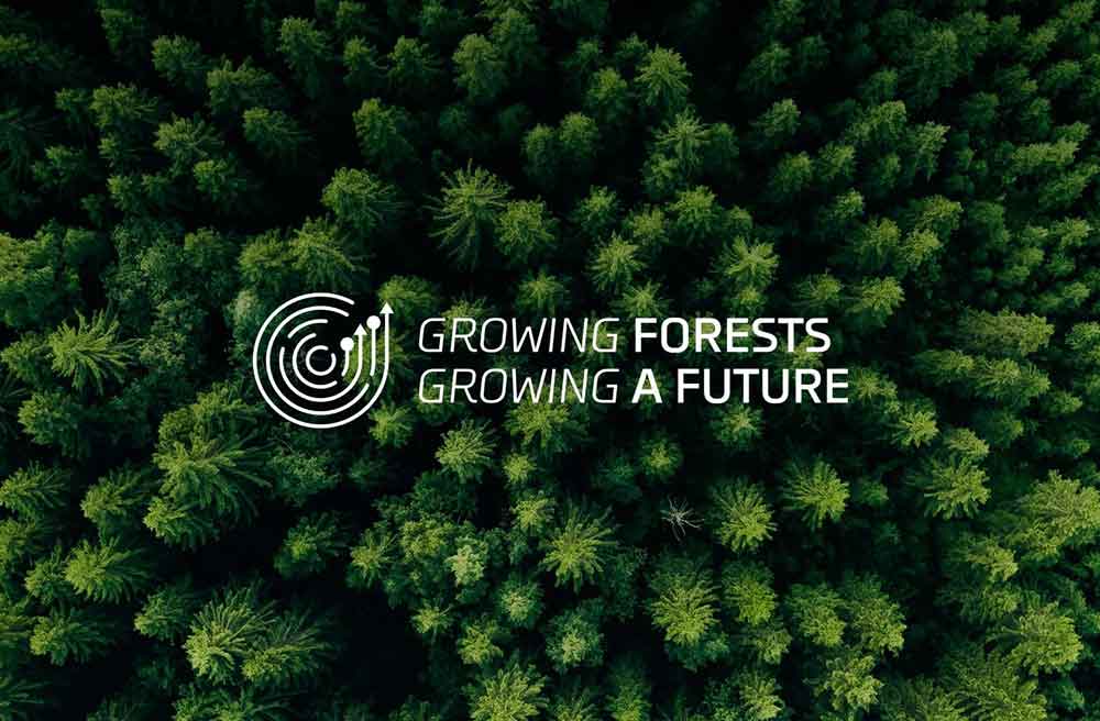 Mercer Launches ‘Growing Forests – Growing A Future’