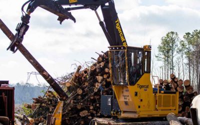 Tigercat 865 Logger