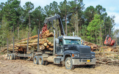 Southern Pulpwood Producers Should Watch Markets Closely