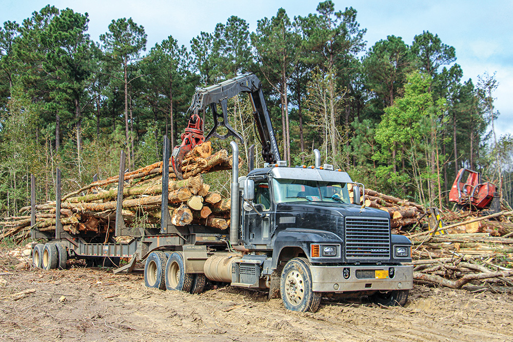 Southern Pulpwood Producers Should Watch Markets Closely