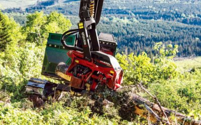 Waratah Releases New Harvester Head