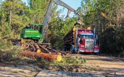 Texas BMP Monitoring Shows Steady Improvement