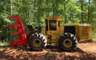 Weiler Forestry Comes Of Age