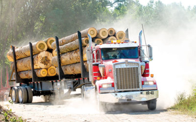 Log Truck Owner’s Responsibilities: Examining The Why, What, What If