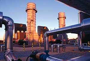 Oglethorpe Power Halts Biomass Plans