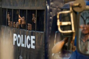 Imprisoned Loggers Freed