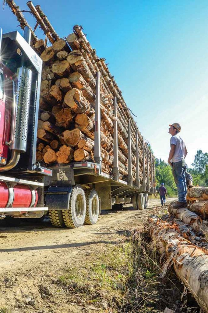 Can Unprofitable Be Sustainable?