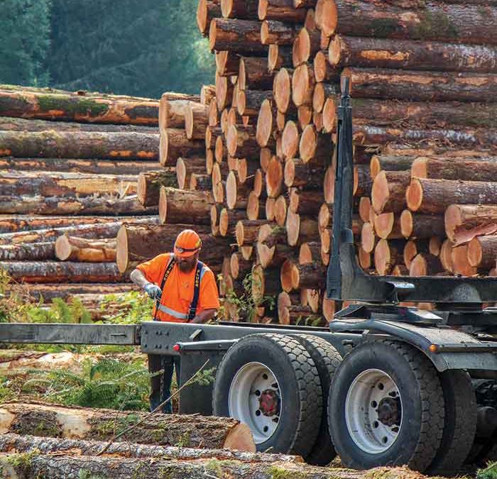 Maine Job Hit With Environmental Fine