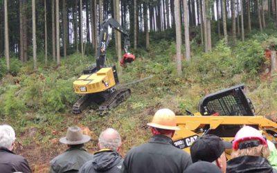 DEMO International Postpones Another Two Years