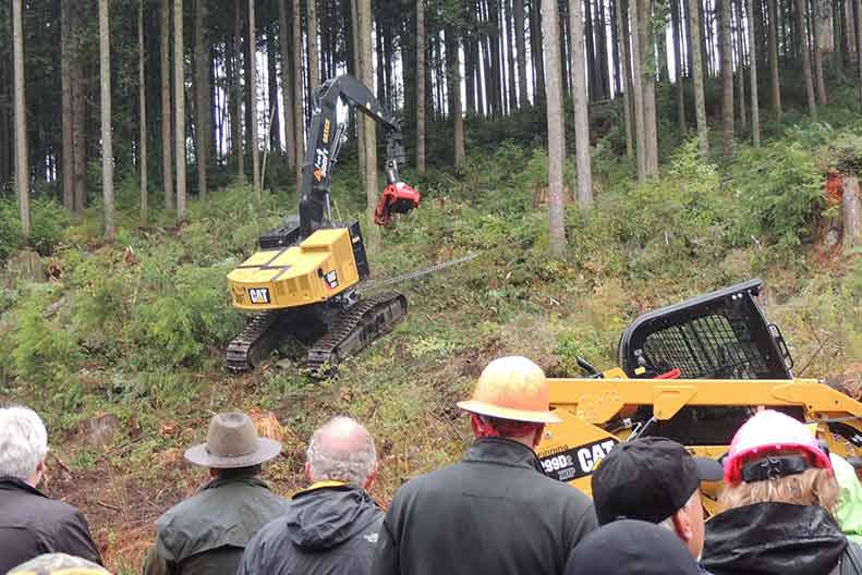 DEMO International Postpones Another Two Years