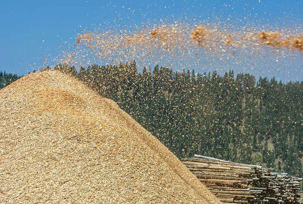 ALC Rising To Challenges