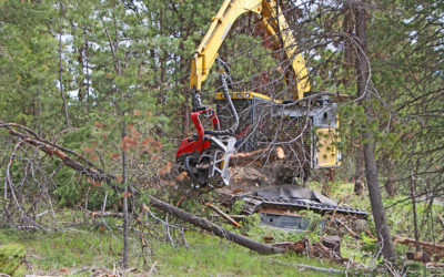 Restoration Efforts Working In Eastern Oregon