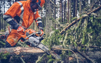 Redesigned From Husqvarna: 562 XP Mark II