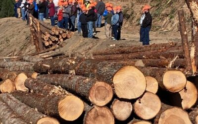 American Loggers Council Annual Meeting 2021 Highlights