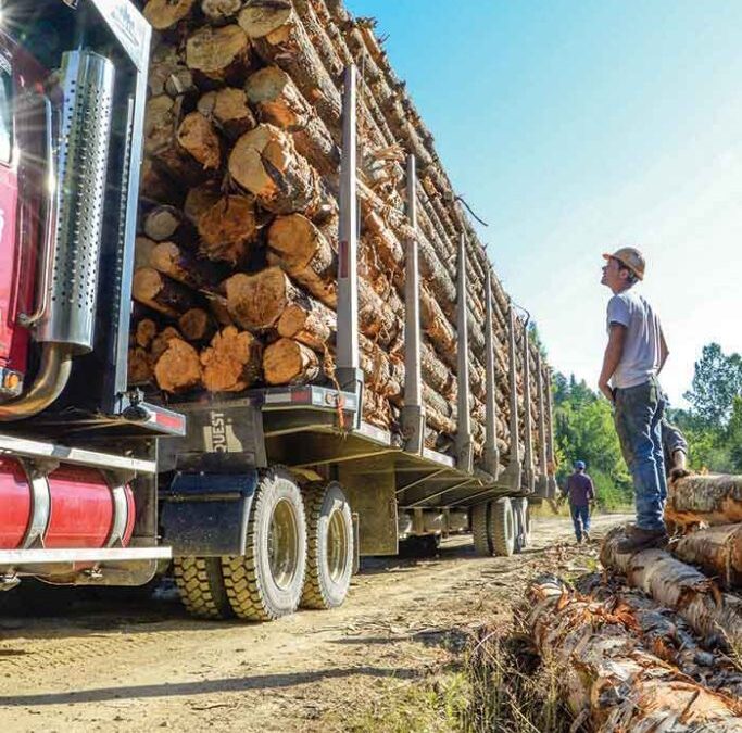 Can Unprofitable Be Sustainable?