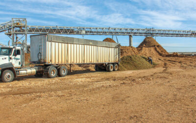 Novo BioPower Gets Some Breathing Room