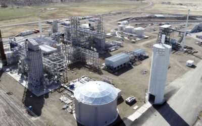 Biofuels Project Sinks