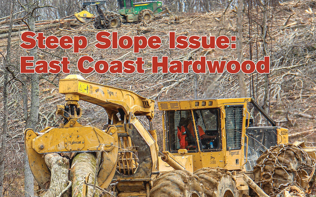 November/December 2024