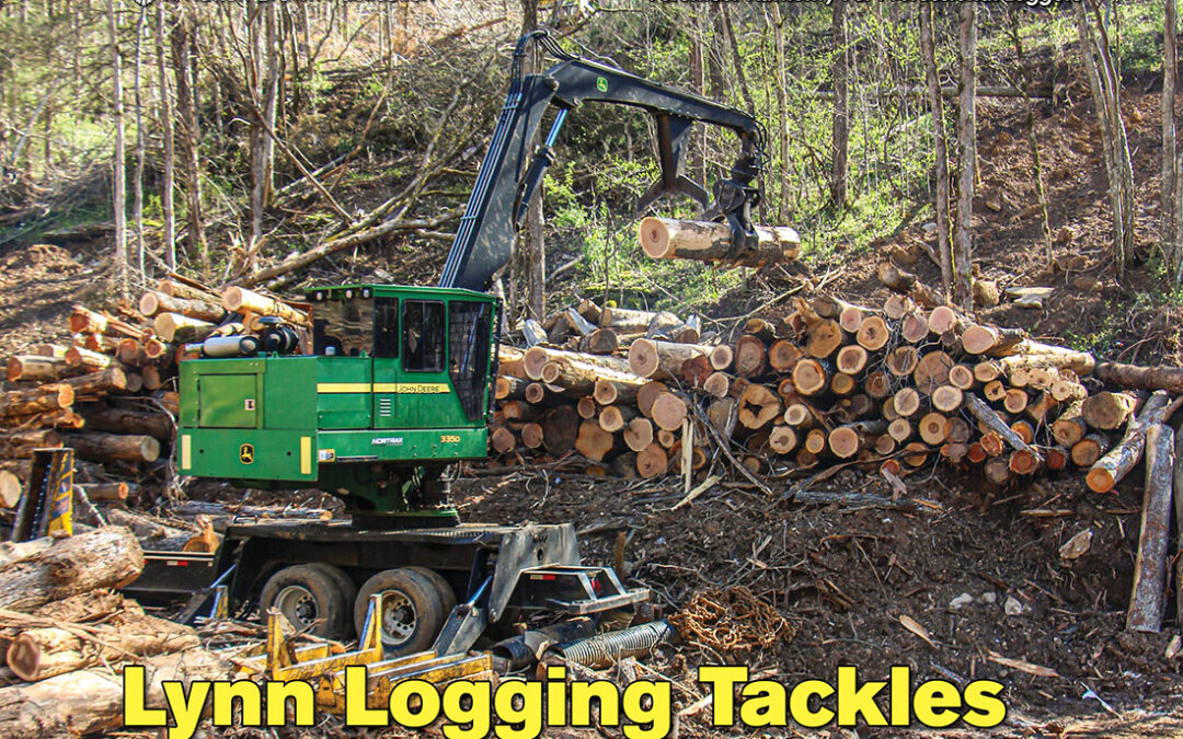 November/December 2025