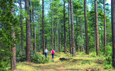 True Carbon Keepers Offer Real Solutions