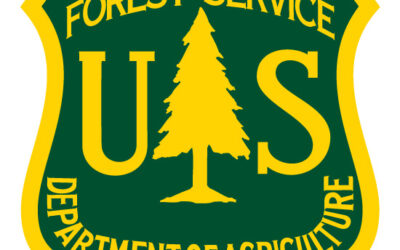 Forest Service Begins Much Needed Reorganization